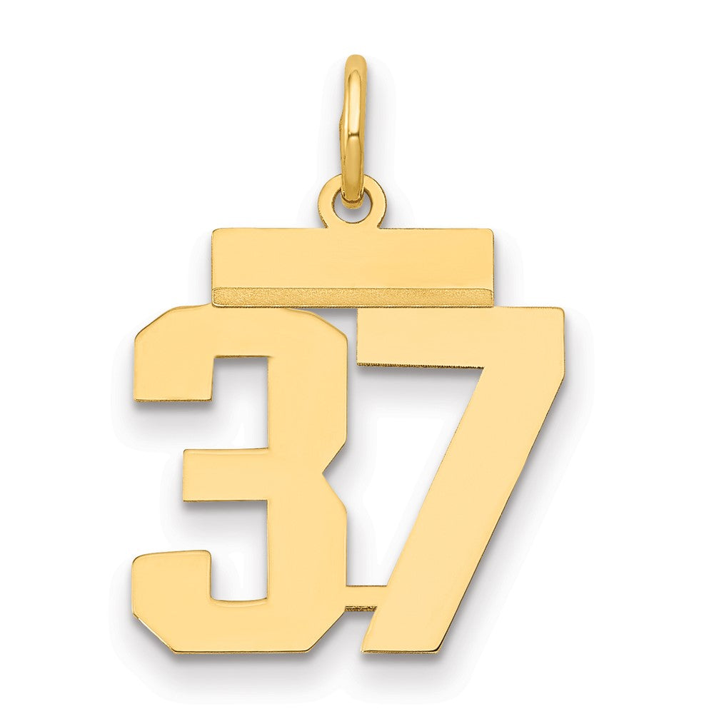 14K Gelbgold Kleiner Polierter Charm Nummer 37