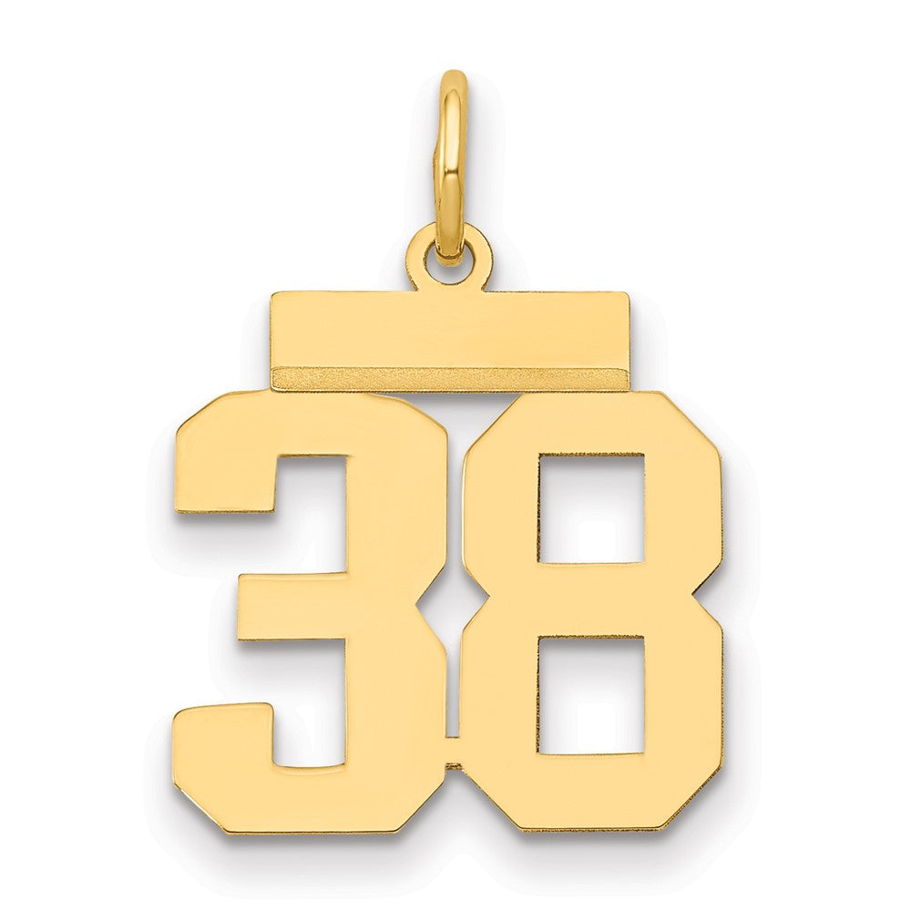 14K Gelbgold kleiner polierter Charm „Zahl 38“