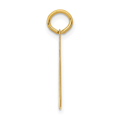 14K Gelbgold kleiner polierter Charm Zahl 39
