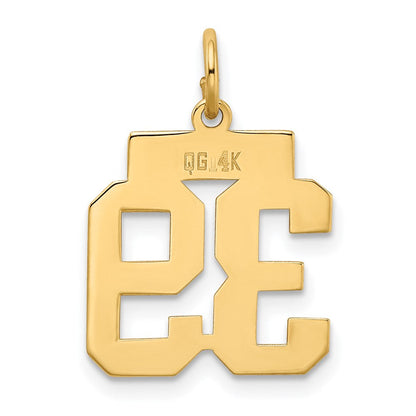14K Gelbgold kleiner polierter Charm Zahl 39