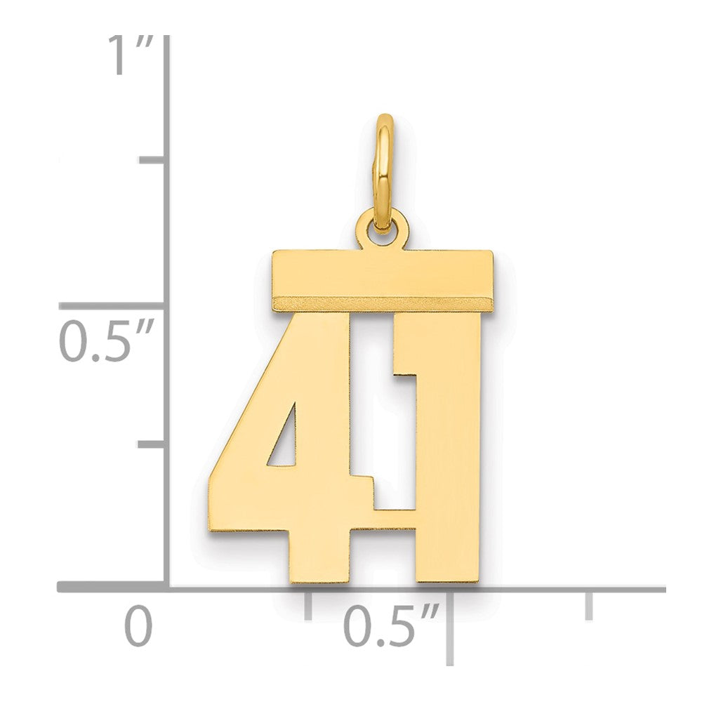 14k Gelbgold kleiner polierter Zahlen-Charm „41“