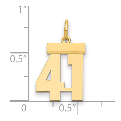 14k Gelbgold kleiner polierter Zahlen-Charm „41“