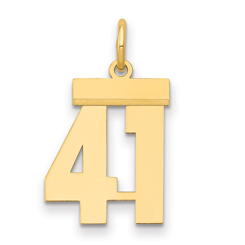 14k Gelbgold kleiner polierter Zahlen-Charm „41“