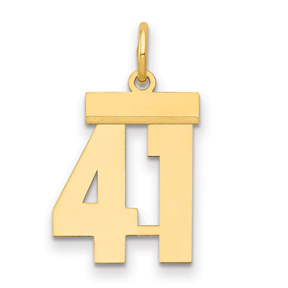 14k Gelbgold kleiner polierter Zahlen-Charm „41“