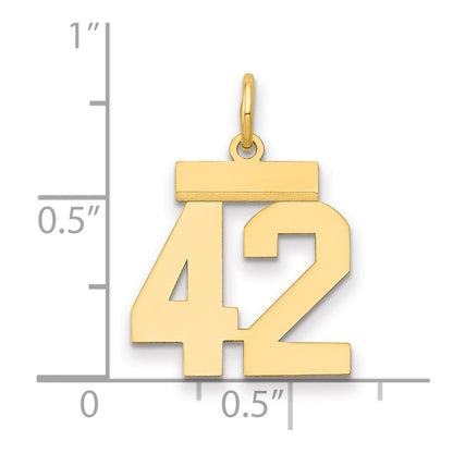 14K Gelbgold Kleiner Polierter Charm „Zahl 42“