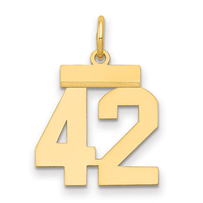 14K Gelbgold Kleiner Polierter Charm „Zahl 42“