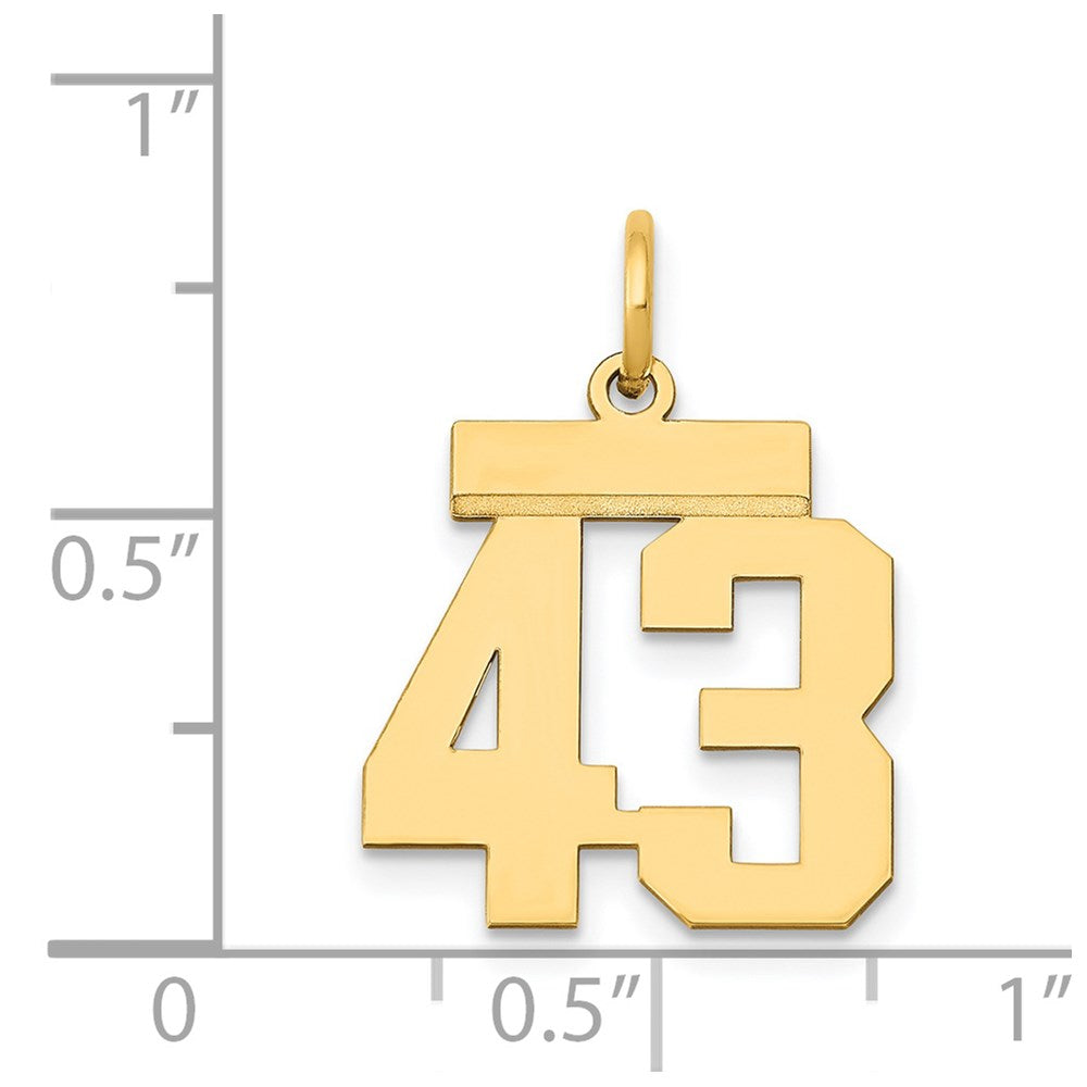 14K Gelbgold Kleiner Polierter Charm Zahl 43