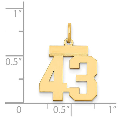 14K Gelbgold Kleiner Polierter Charm Zahl 43