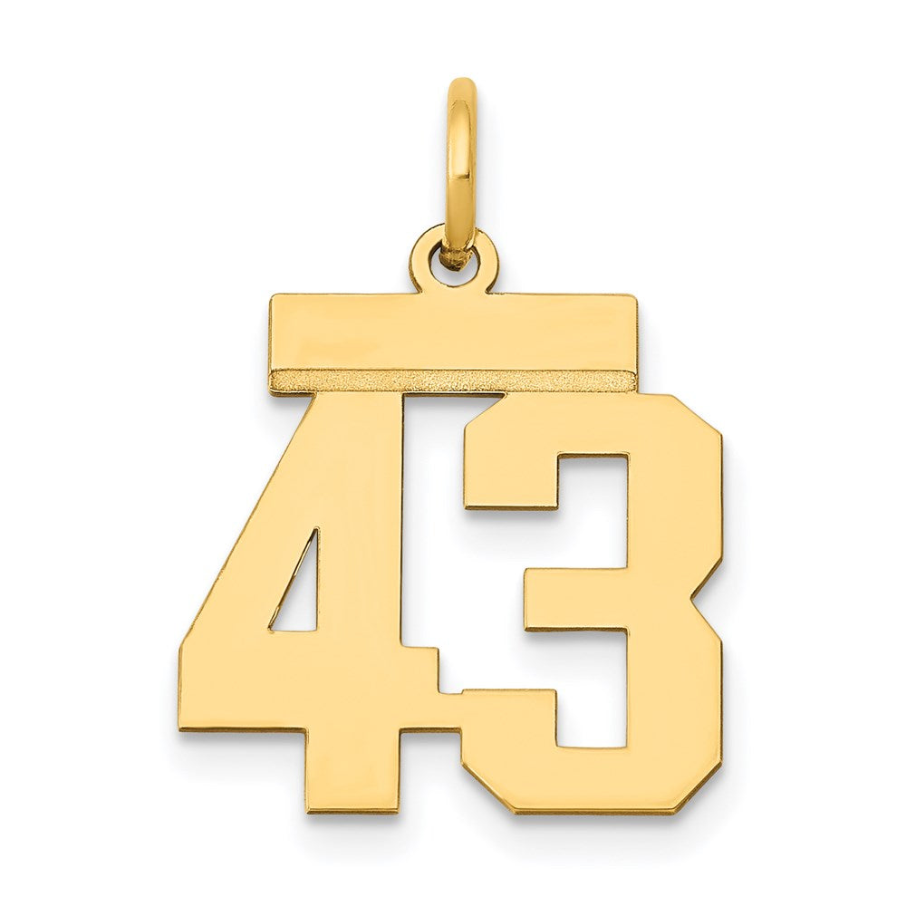 14K Gelbgold Kleiner Polierter Charm Zahl 43