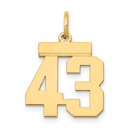 14K Gelbgold Kleiner Polierter Charm Zahl 43