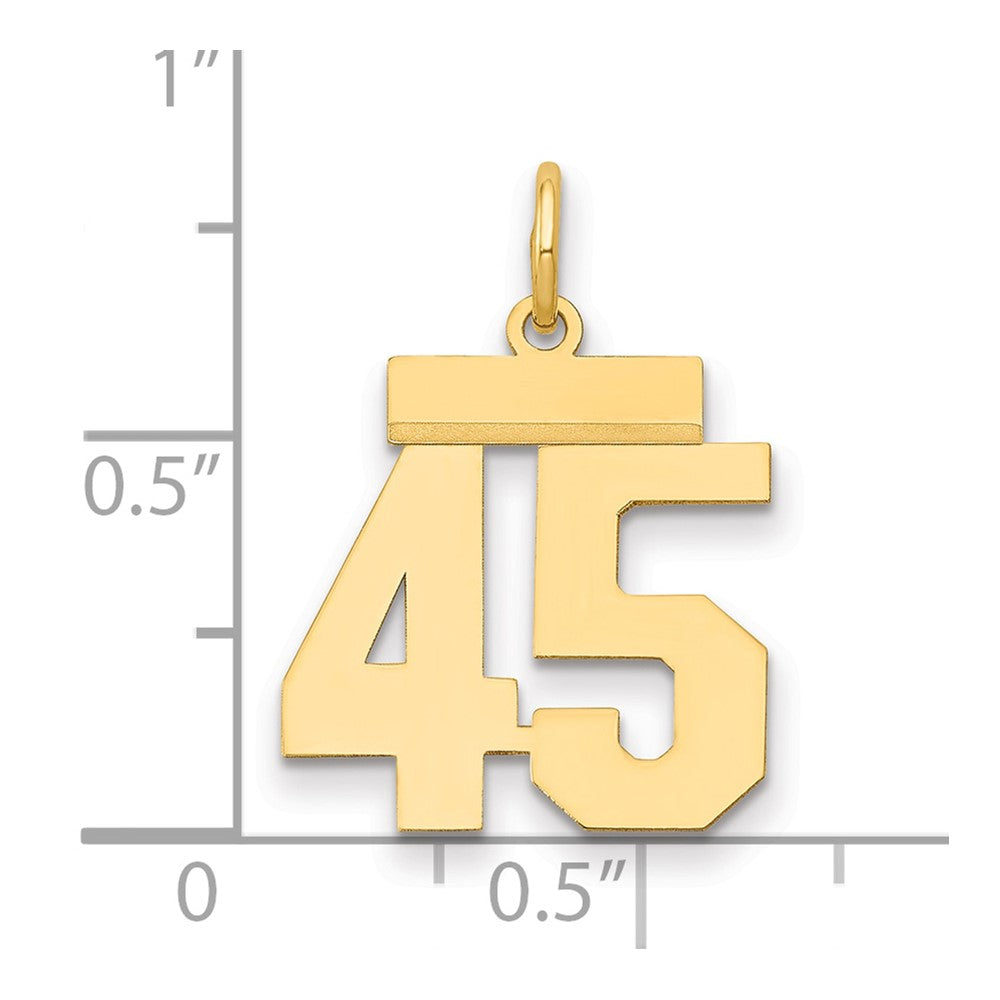 14K Gelbgold Kleiner Polierter Charm Zahl 45