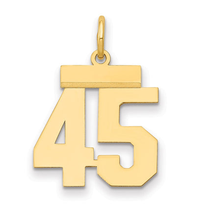 14K Gelbgold Kleiner Polierter Charm Zahl 45