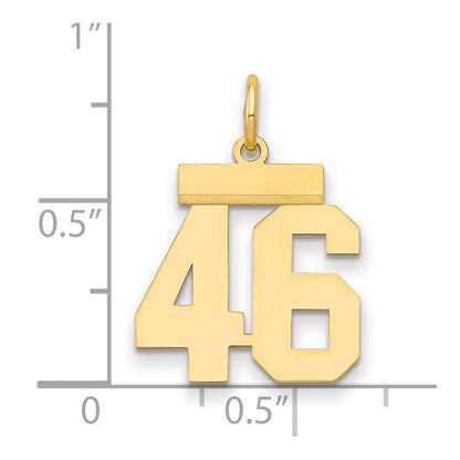 14K Gelbgold Kleiner Polierter Charm „Zahl 46“