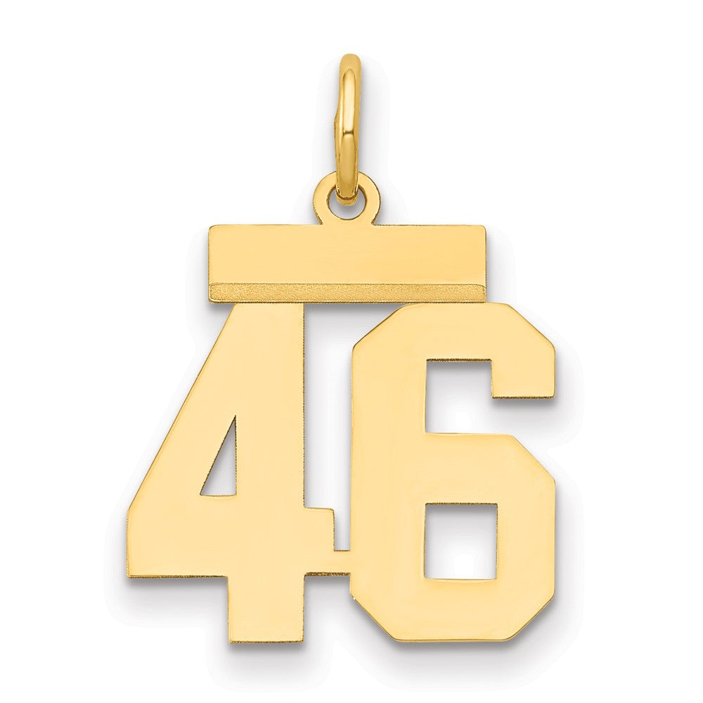 14K Gelbgold Kleiner Polierter Charm „Zahl 46“
