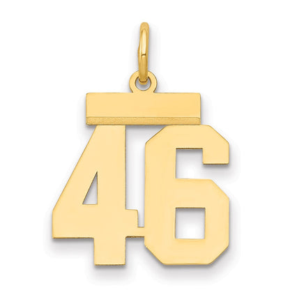 14K Gelbgold Kleiner Polierter Charm „Zahl 46“