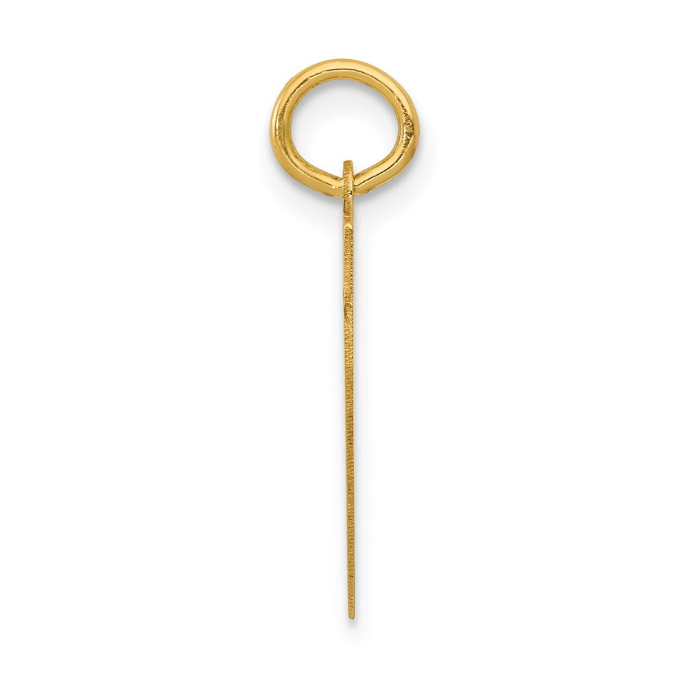 14K Gelbgold Kleiner Polierter Charm „Zahl 47