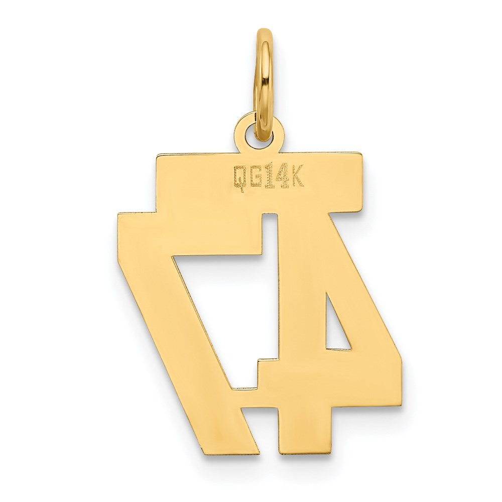 14K Gelbgold Kleiner Polierter Charm „Zahl 47
