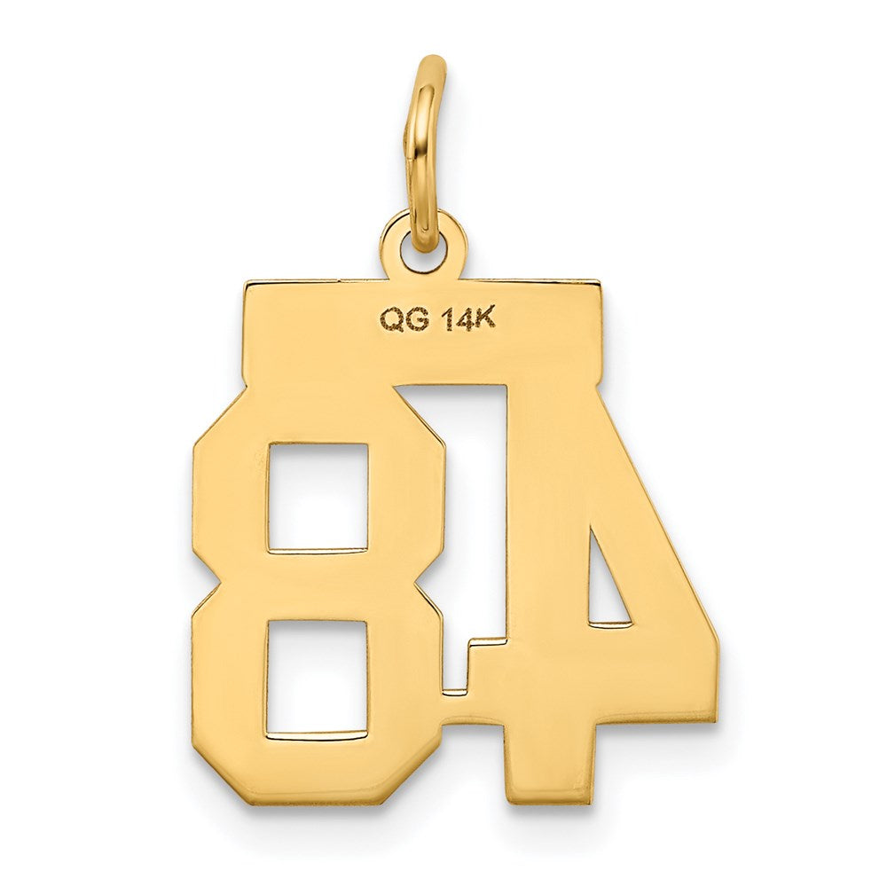 14K Gelbgold Kleiner Polierter Zahl-48-Charm