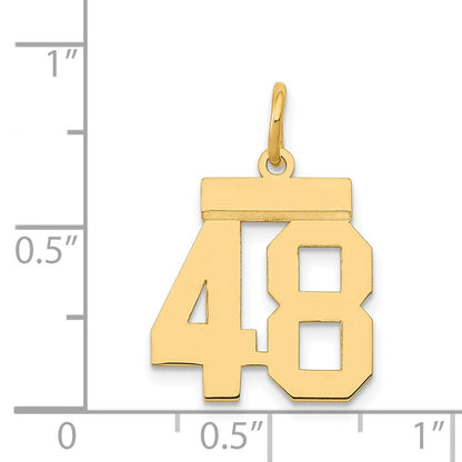 14K Gelbgold Kleiner Polierter Zahl-48-Charm