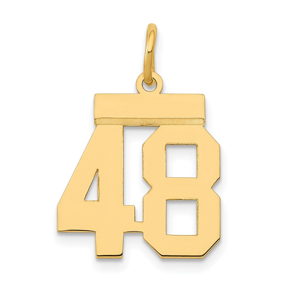 14K Gelbgold Kleiner Polierter Zahl-48-Charm