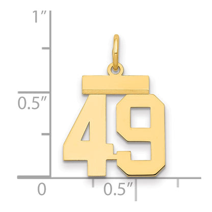 14K Gelbgold Kleiner Polierter Charm Zahl 49