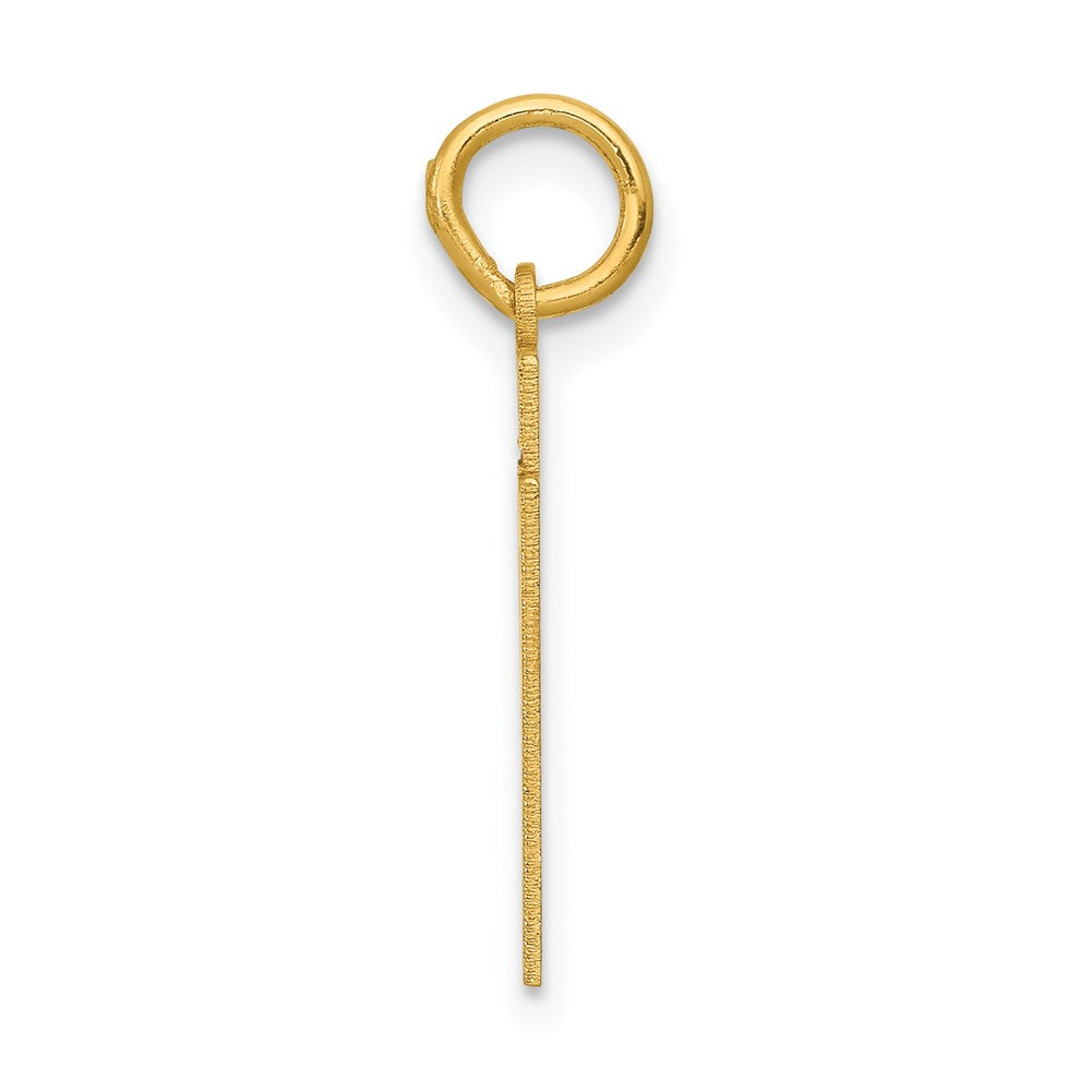 14K Gelbgold Kleiner Polierter Charm mit Zahl 51