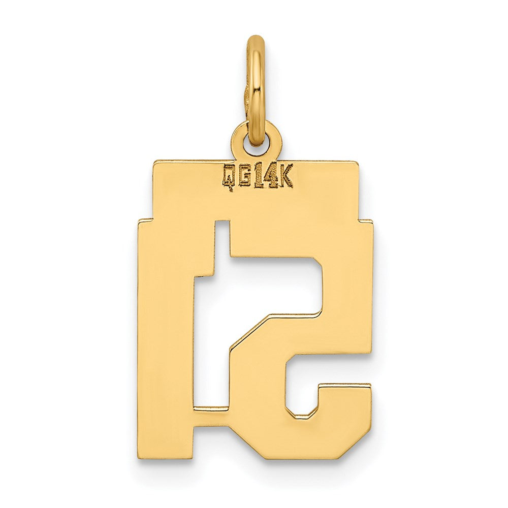 14K Gelbgold Kleiner Polierter Charm mit Zahl 51