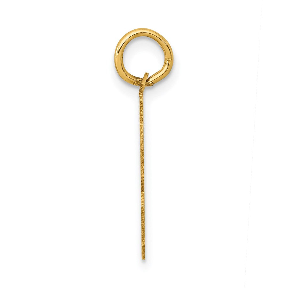 14K Gelbgold Kleiner Polierter Charm Zahl 53