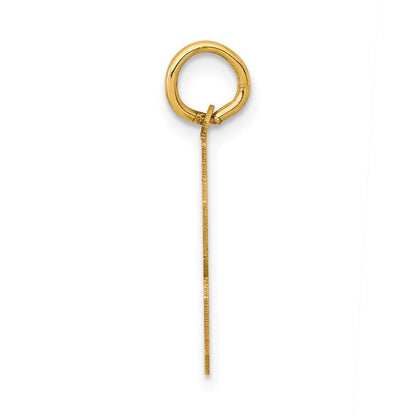14K Gelbgold Kleiner Polierter Charm Zahl 53