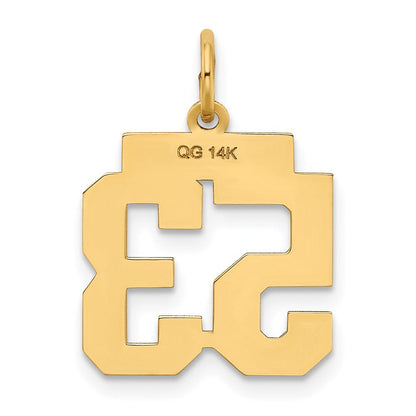 14K Gelbgold Kleiner Polierter Charm Zahl 53