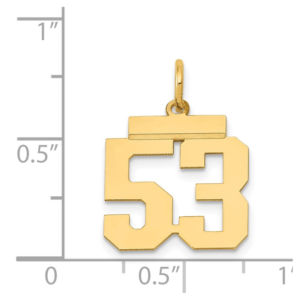 14K Gelbgold Kleiner Polierter Charm Zahl 53