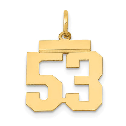 14K Gelbgold Kleiner Polierter Charm Zahl 53