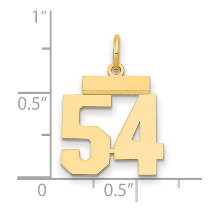 14K Gelbgold Kleiner Polierter Charm „Zahl 54
