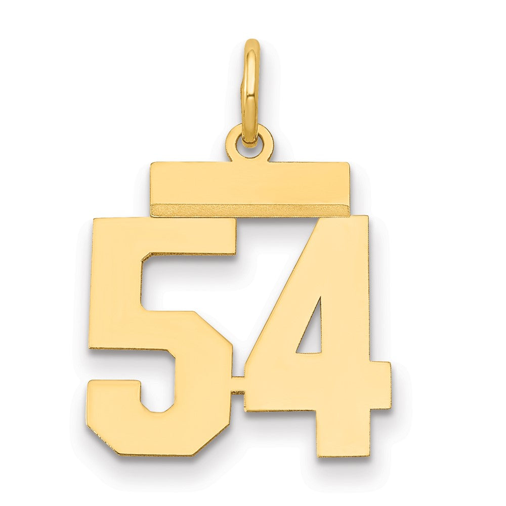 14K Gelbgold Kleiner Polierter Charm „Zahl 54