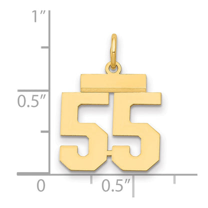 14K Gelbgold Kleiner Polierter Zahl-55-Charm