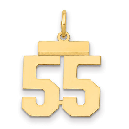 14K Gelbgold Kleiner Polierter Zahl-55-Charm