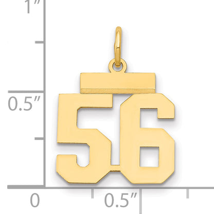 14K Gelbgold kleiner polierter Zahl-56-Charm