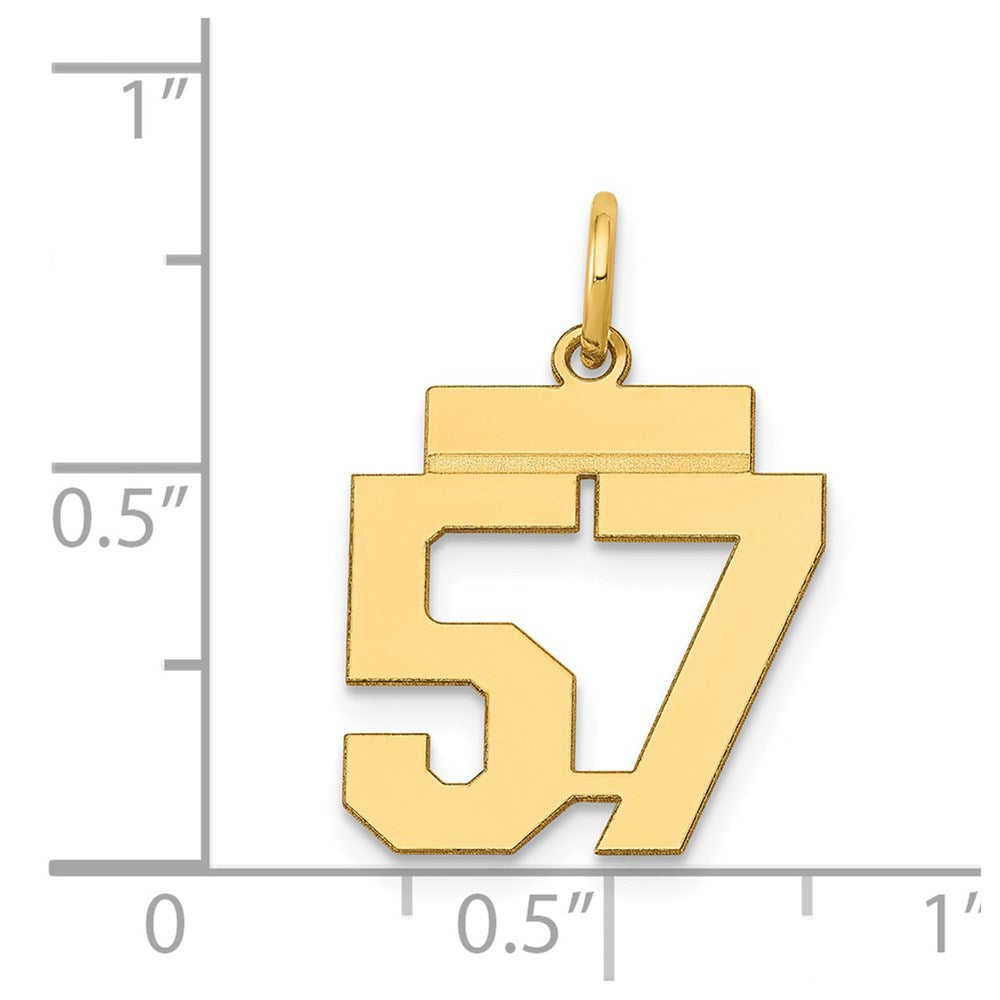 14K Gelbgold kleiner polierter Charm "Zahl 57