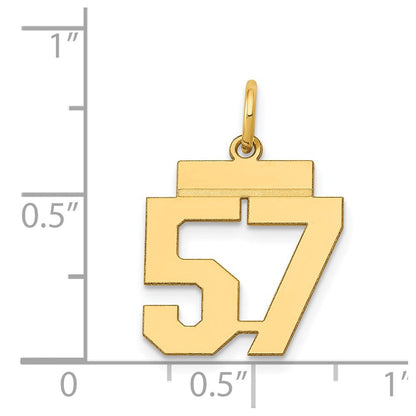 14K Gelbgold kleiner polierter Charm "Zahl 57