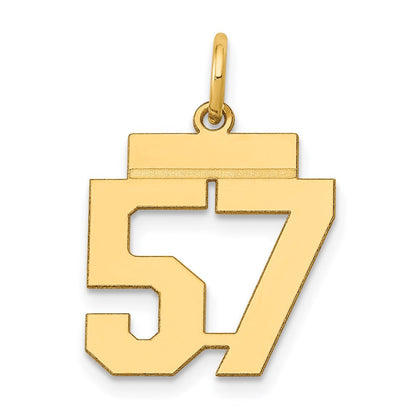 14K Gelbgold kleiner polierter Charm "Zahl 57