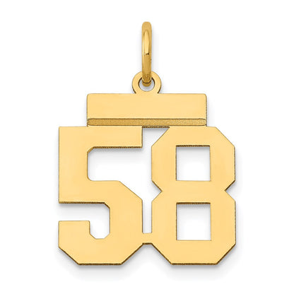 585 Gelbgold Kleiner Polierter Zahlenanhänger "58