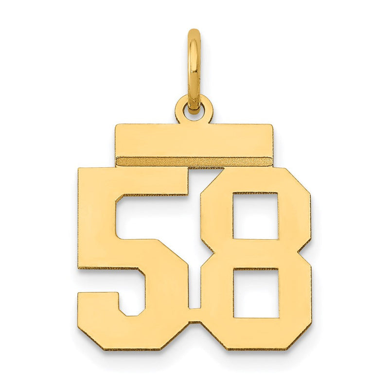 585 Gelbgold Kleiner Polierter Zahlenanhänger "58