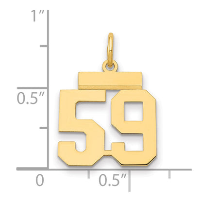 14K Gelbgold Kleiner Polierter Charm Zahl 59