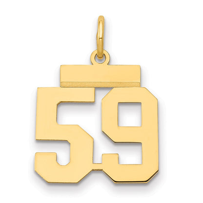 14K Gelbgold Kleiner Polierter Charm Zahl 59