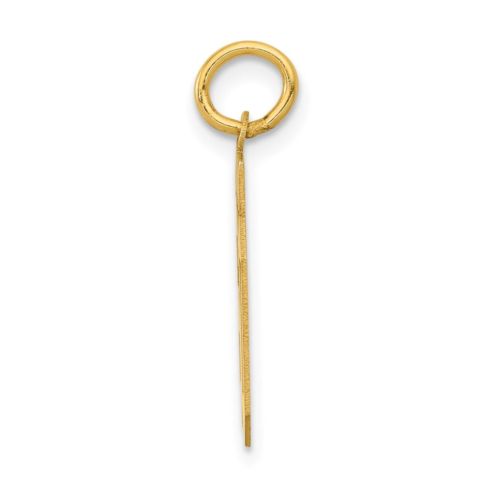 14K Gelbgold Kleiner Polierter Charm „Zahl 60