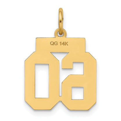 14K Gelbgold Kleiner Polierter Charm „Zahl 60