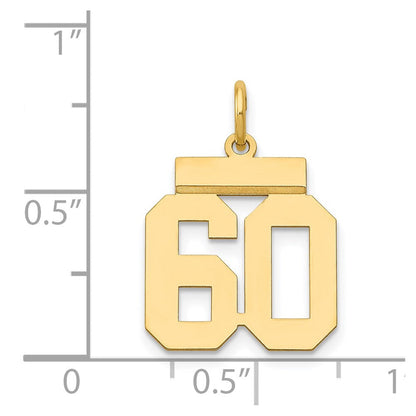 14K Gelbgold Kleiner Polierter Charm „Zahl 60