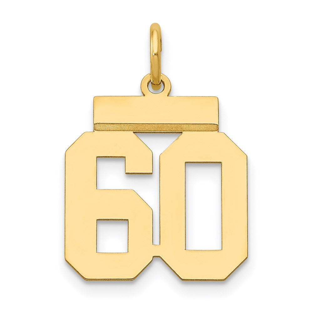 14K Gelbgold Kleiner Polierter Charm „Zahl 60