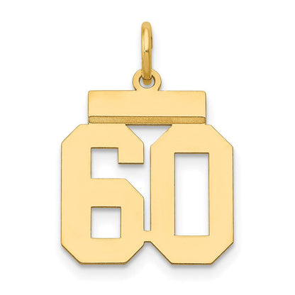 14K Gelbgold Kleiner Polierter Charm „Zahl 60