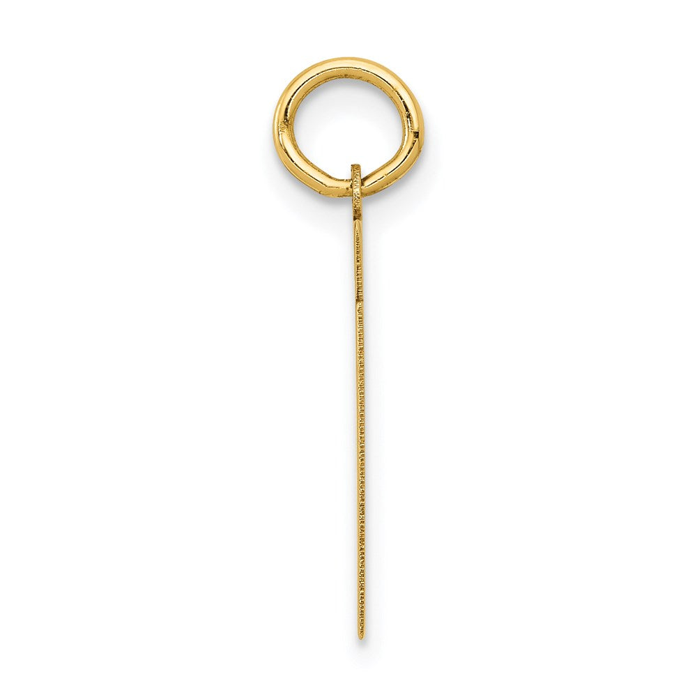 14K Gelbgold Kleiner Polierter Charm „Zahl 61